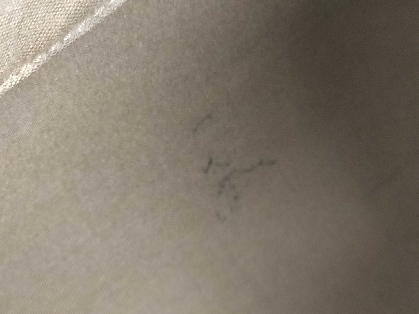 LOUIS VUITTON Speedy 35 Handbag
