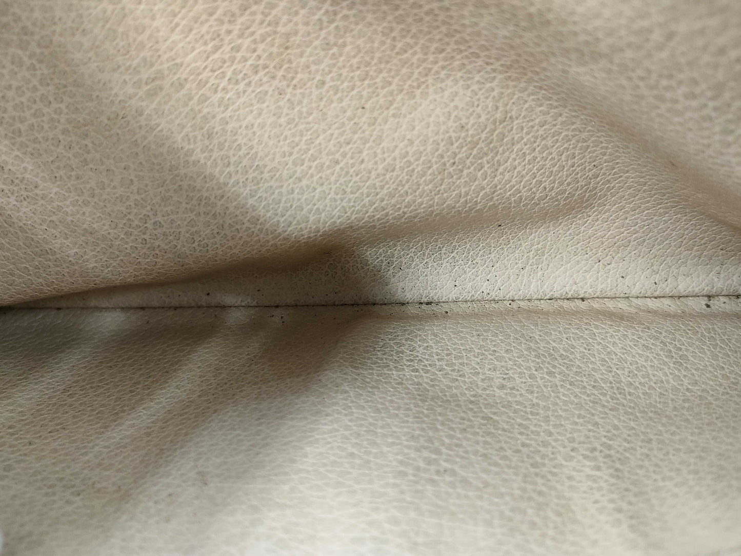 LOUIS VUITTON Monogram True Toilet Second Bag