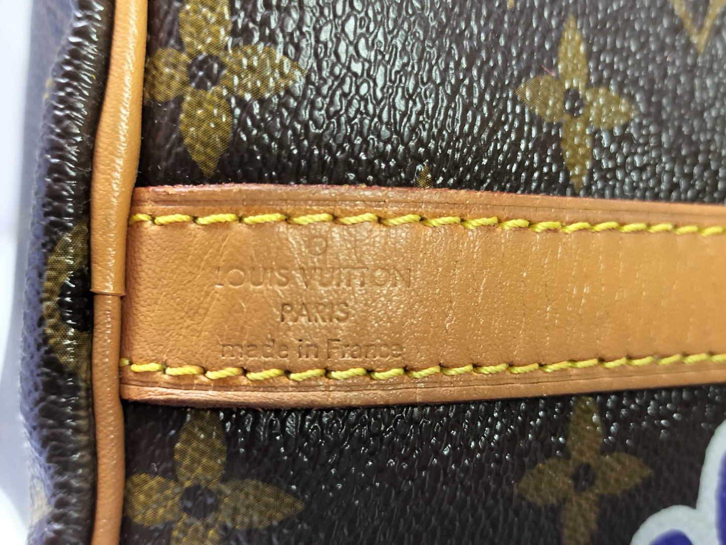 LOUIS VUITTON Louis Vuitton Speedy 30 Handbag