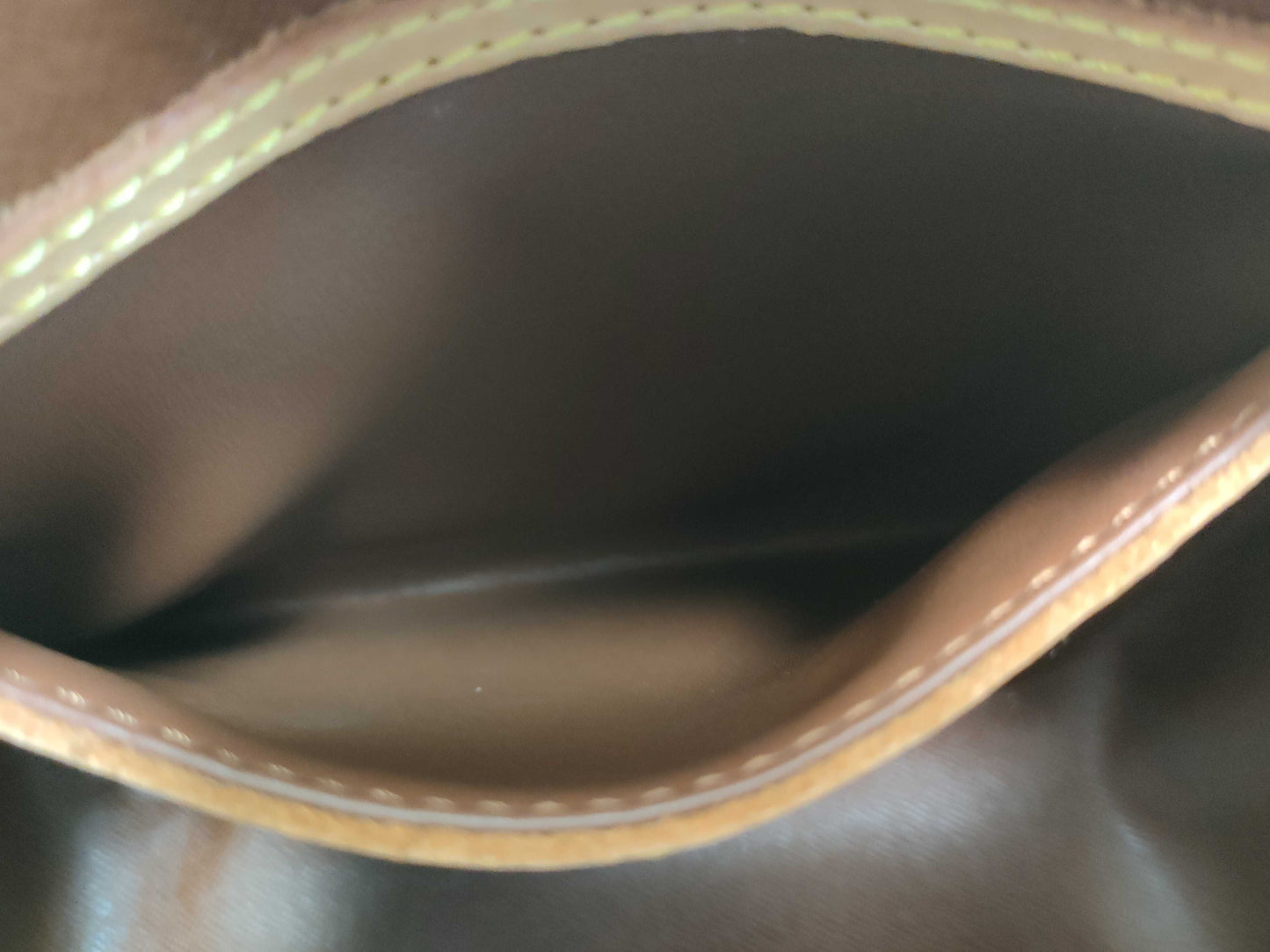 LOUIS VUITTON M 51221 Monogram LV Blois Shoulder Bag