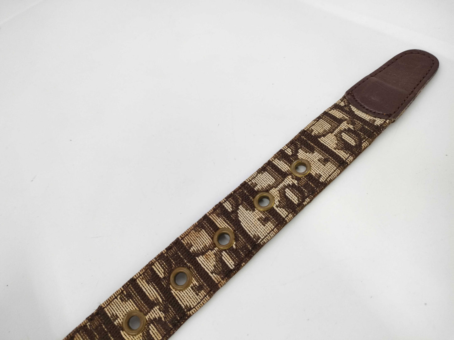 Dior Trotter Belt