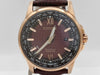 CITIZEN Eco-Drive E784-S120659 9N1051182 Men's Watch
