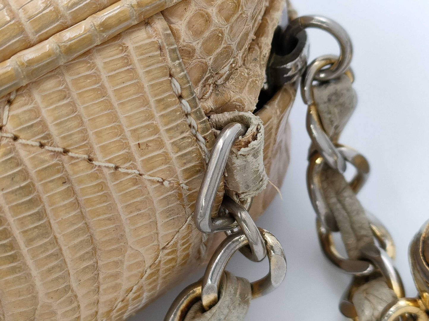 CHANEL Chanel Lizard Brand Bag Chain Shoulder Bag with Fringe 1728596 Shoulder Bag