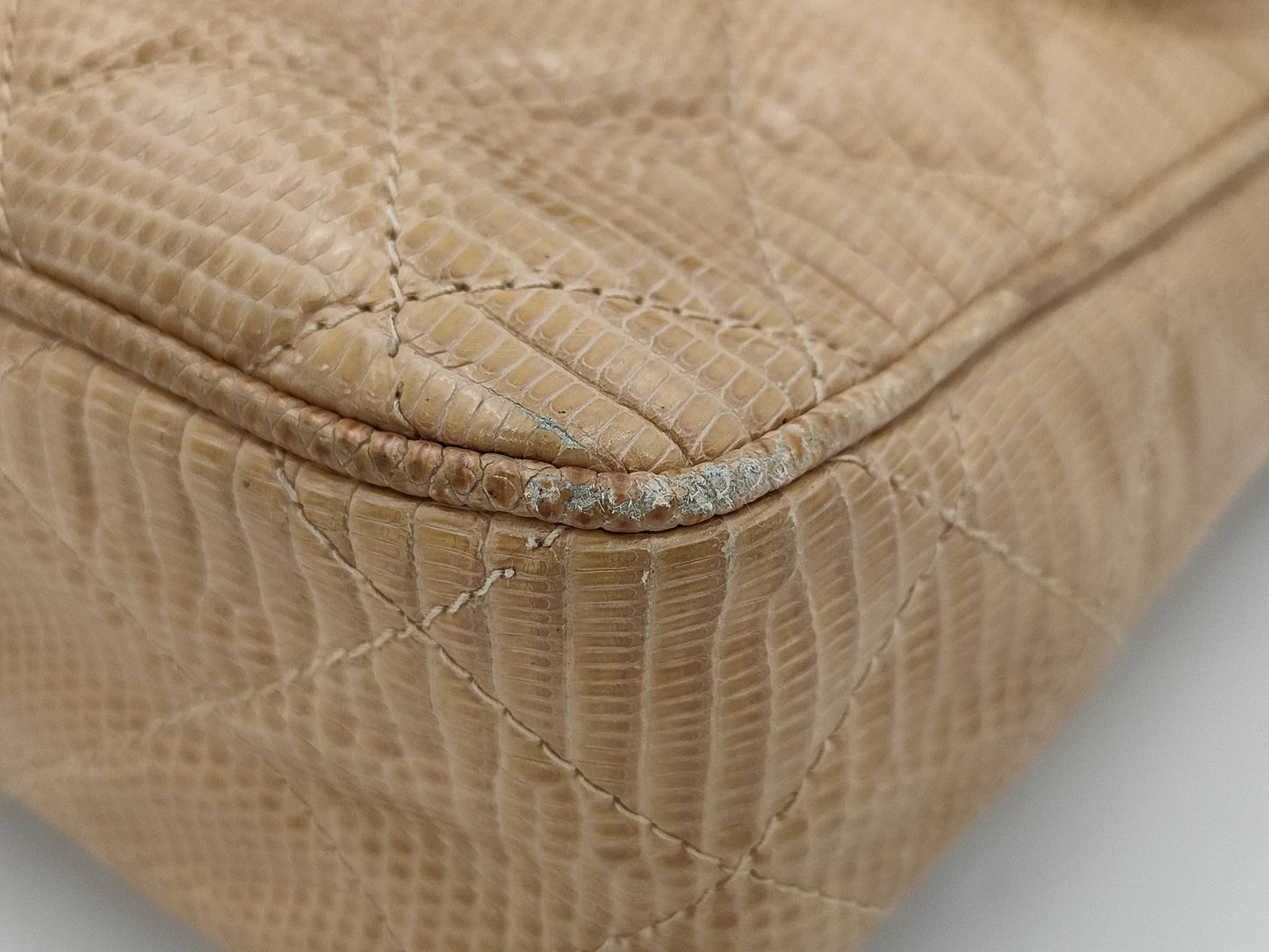 CHANEL Chanel Lizard Brand Bag Chain Shoulder Bag with Fringe 1728596 Shoulder Bag