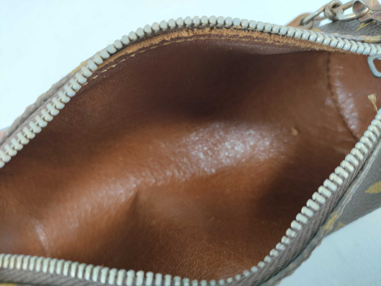 LOUIS VUITTON Monogram Papillon Pouch