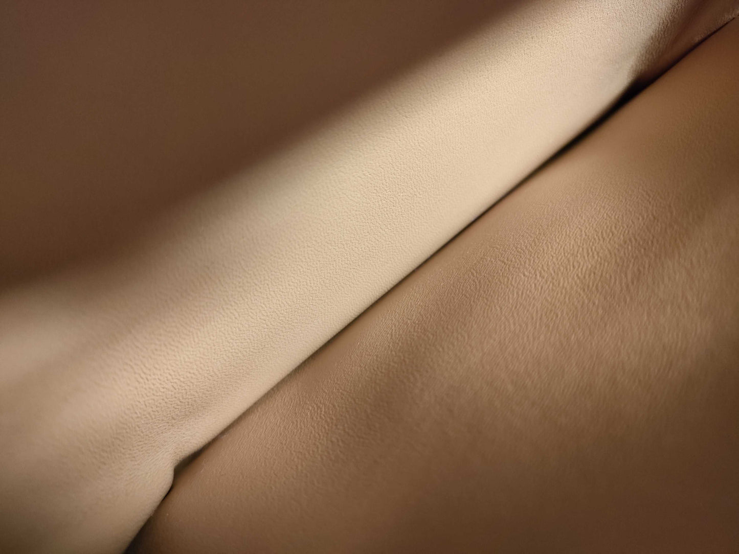 Celine Unused Triomphe Hardware Shoulder Bag in Natural