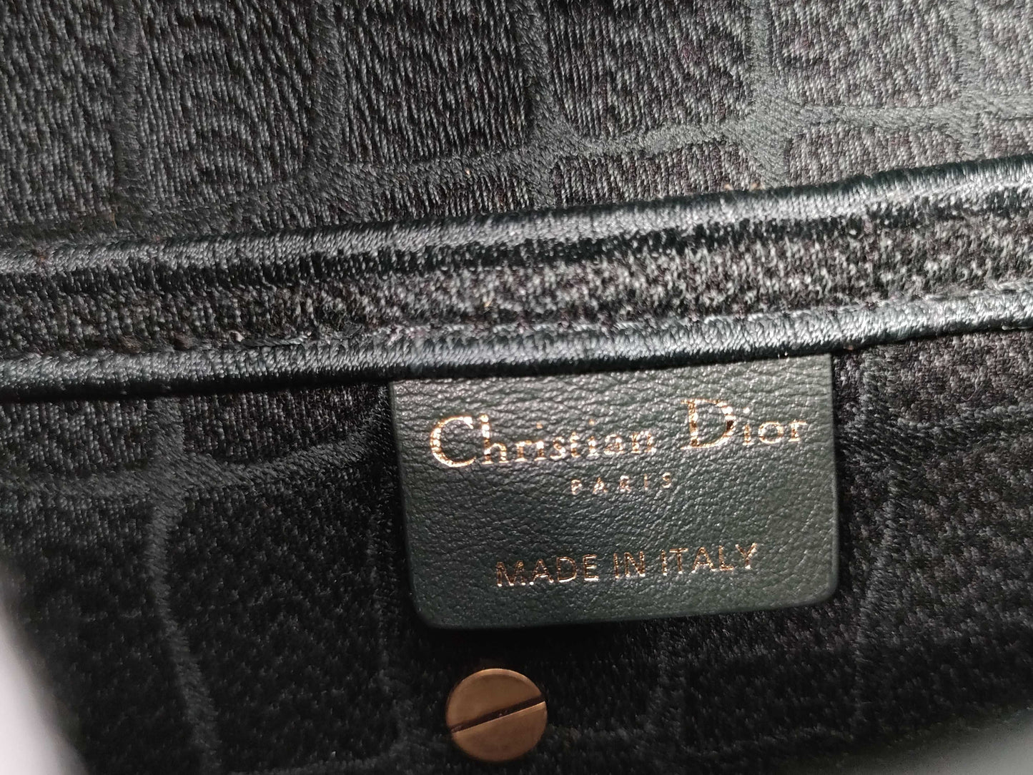 Dior Saddle Bag Medium Shoulder Bag Green with Gold Hardware Velvet Shoulder Bag