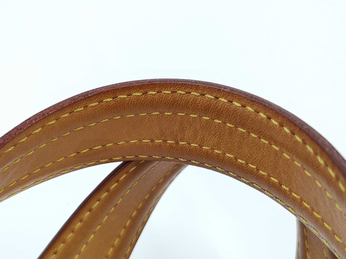 LOUIS VUITTON Monogram Multiplicite Handbag