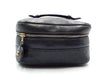 CHANEL Lambskin Picolore Wild Stitch Vanity Bag