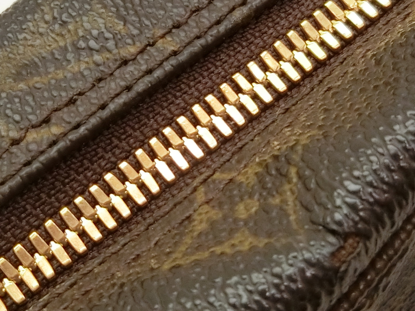 LOUIS VUITTON Monogram True Toilet Pouch