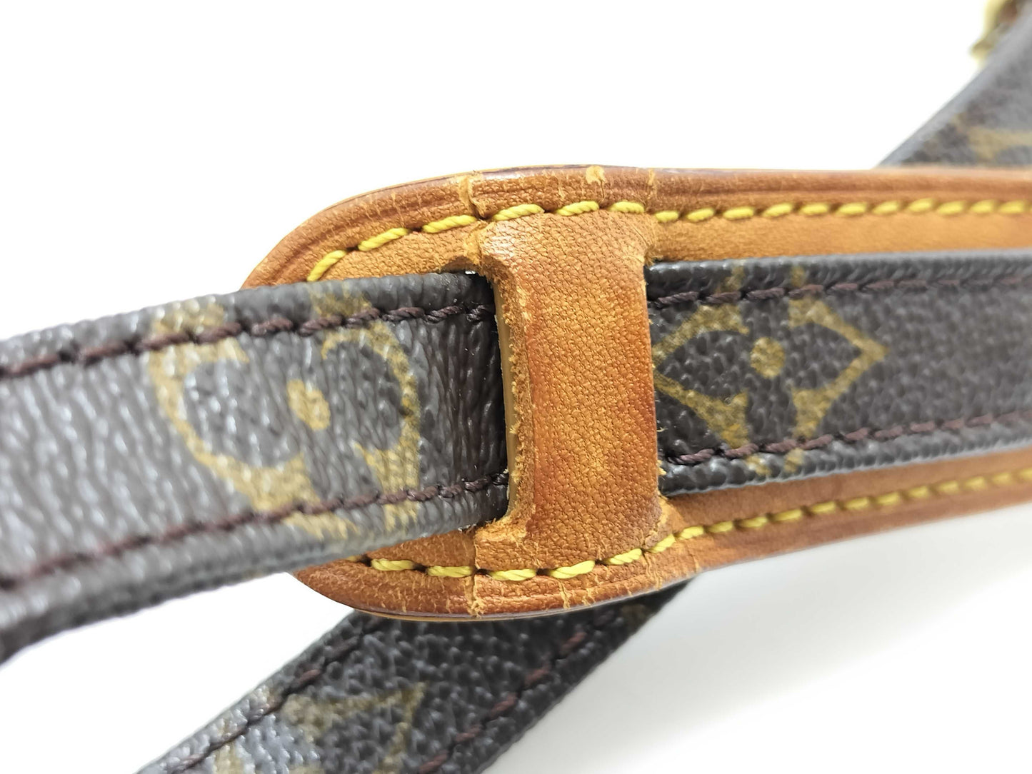 LOUIS VUITTON M45236 Monogram Amazon Shoulder Bag