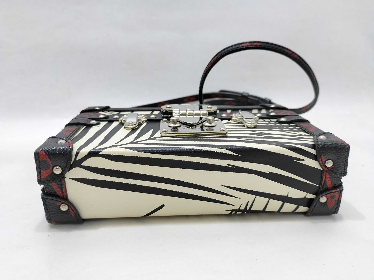 LOUIS VUITTON Petite Malle 2016 Cruise Nicolas Ghesquière Pouch
