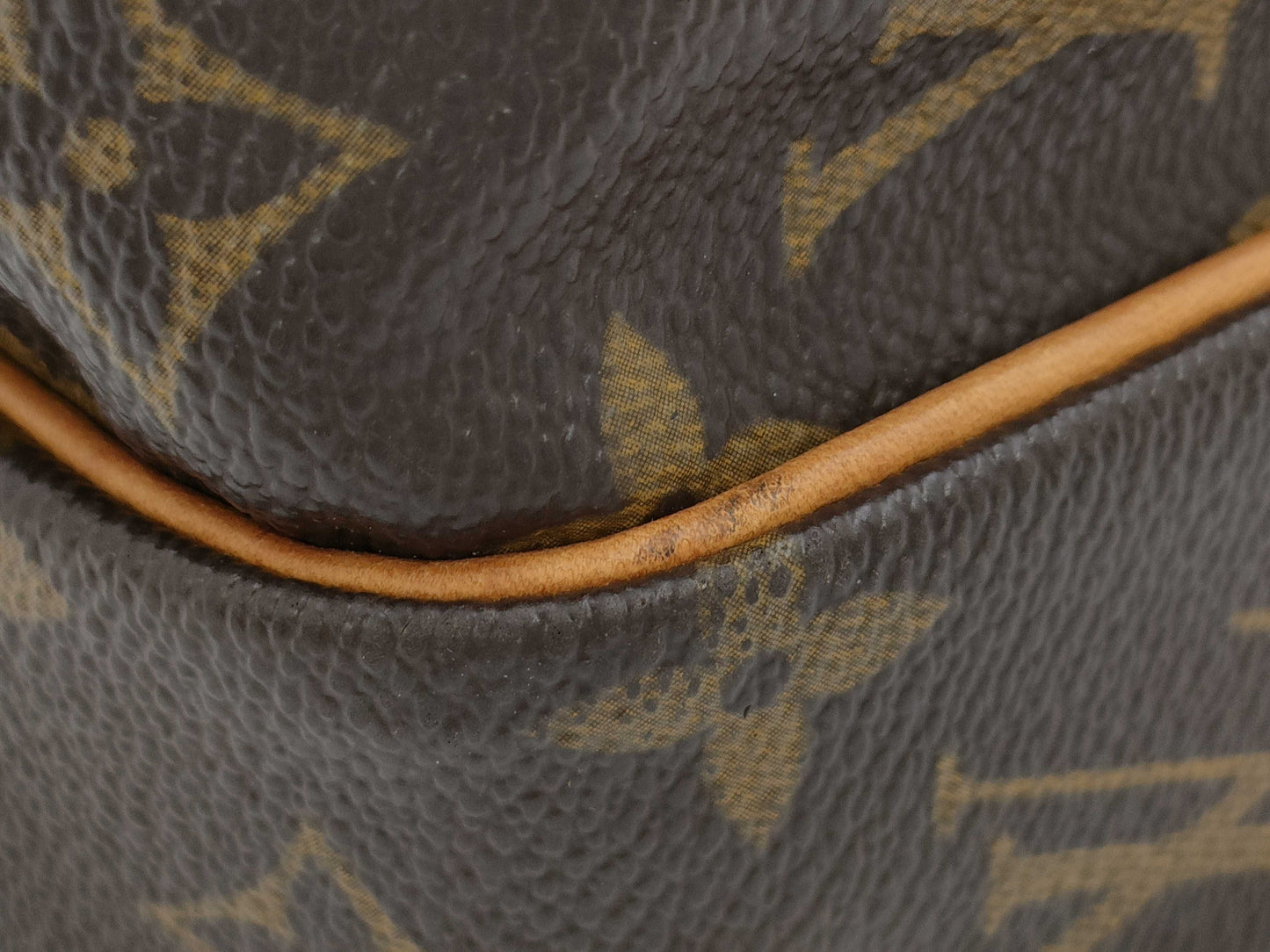 LOUIS VUITTON M45236 Monogram Amazon Shoulder Bag