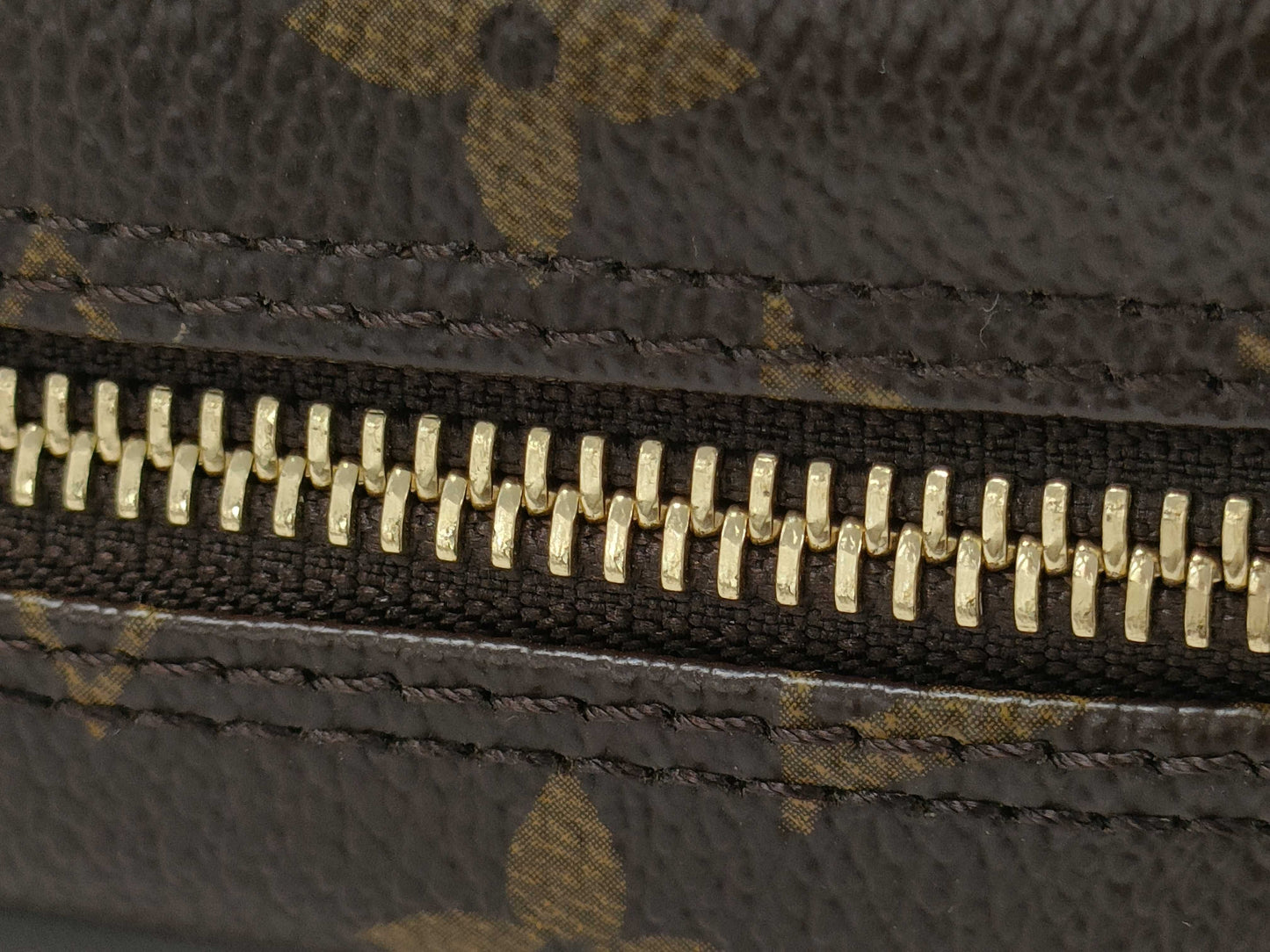 LOUIS VUITTON Monogram Amazon Shoulder Bag