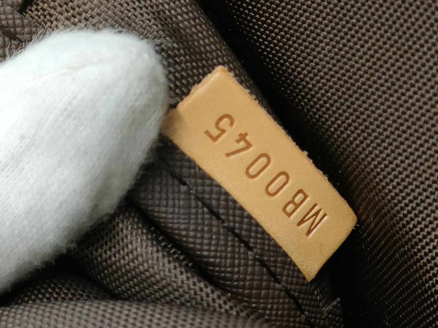 LOUIS VUITTON Monogram Pegasus 45 Carry Bag