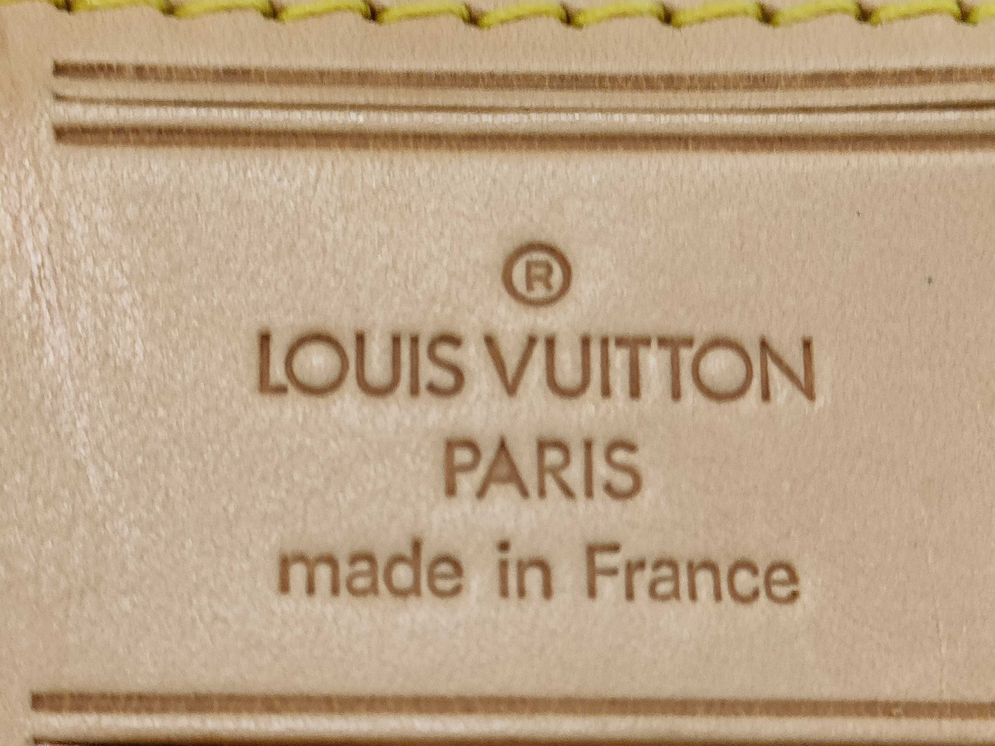 LOUIS VUITTON Monogram Pegasus 45 Carry Bag