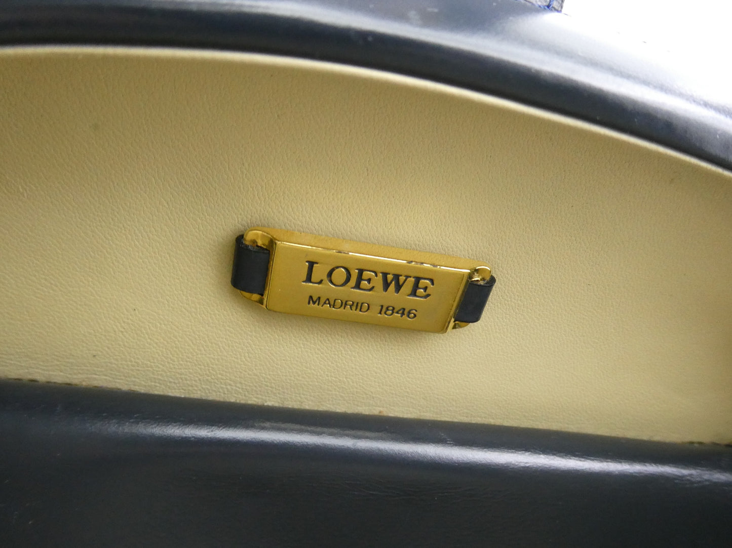 LOEWE Anagram Round Leather Handbag