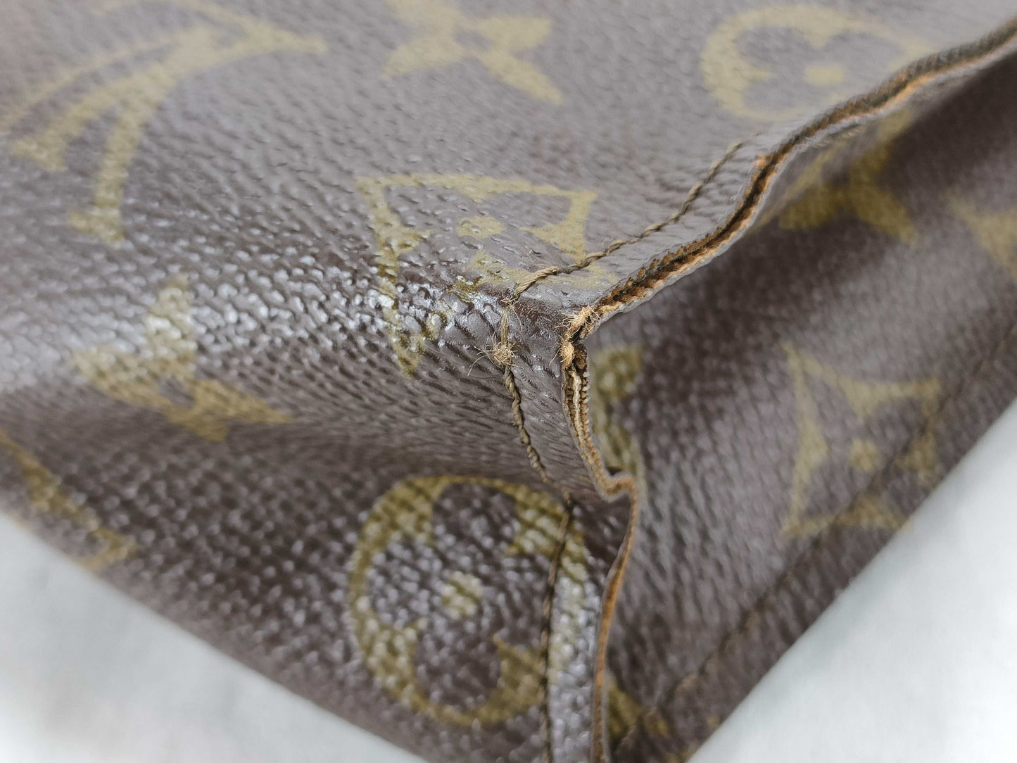 LOUIS VUITTON Monogram LOUIS VUITTON Bag Pouch