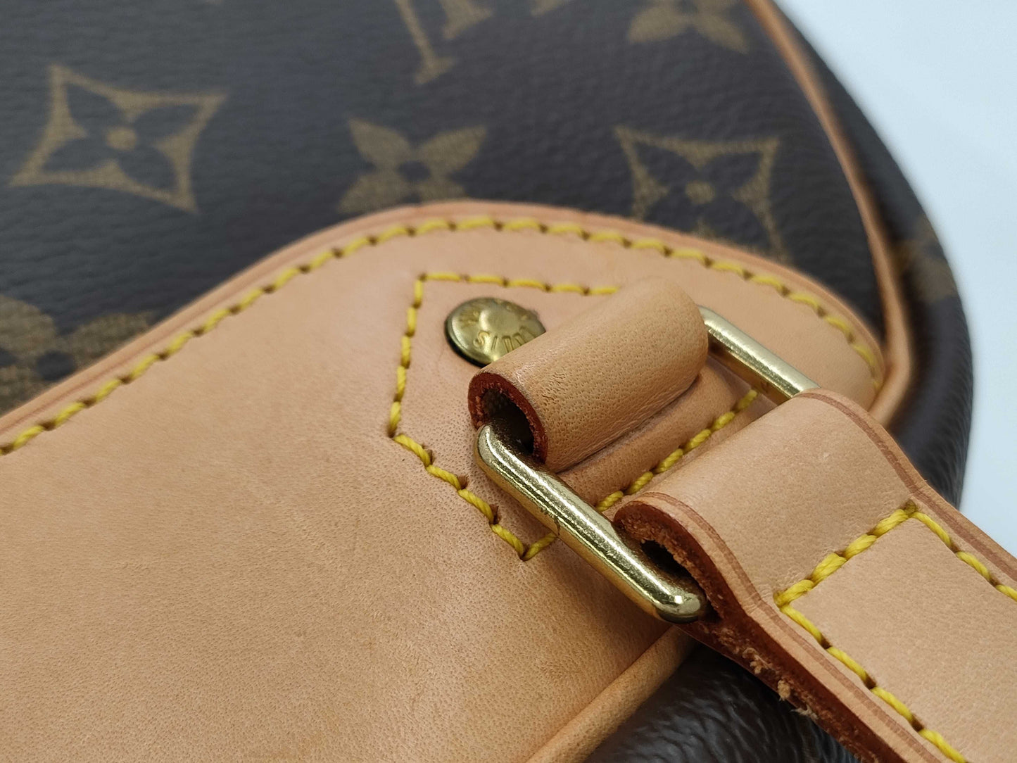 LOUIS VUITTON Louis Vuitton Bag Excursion Handbag
