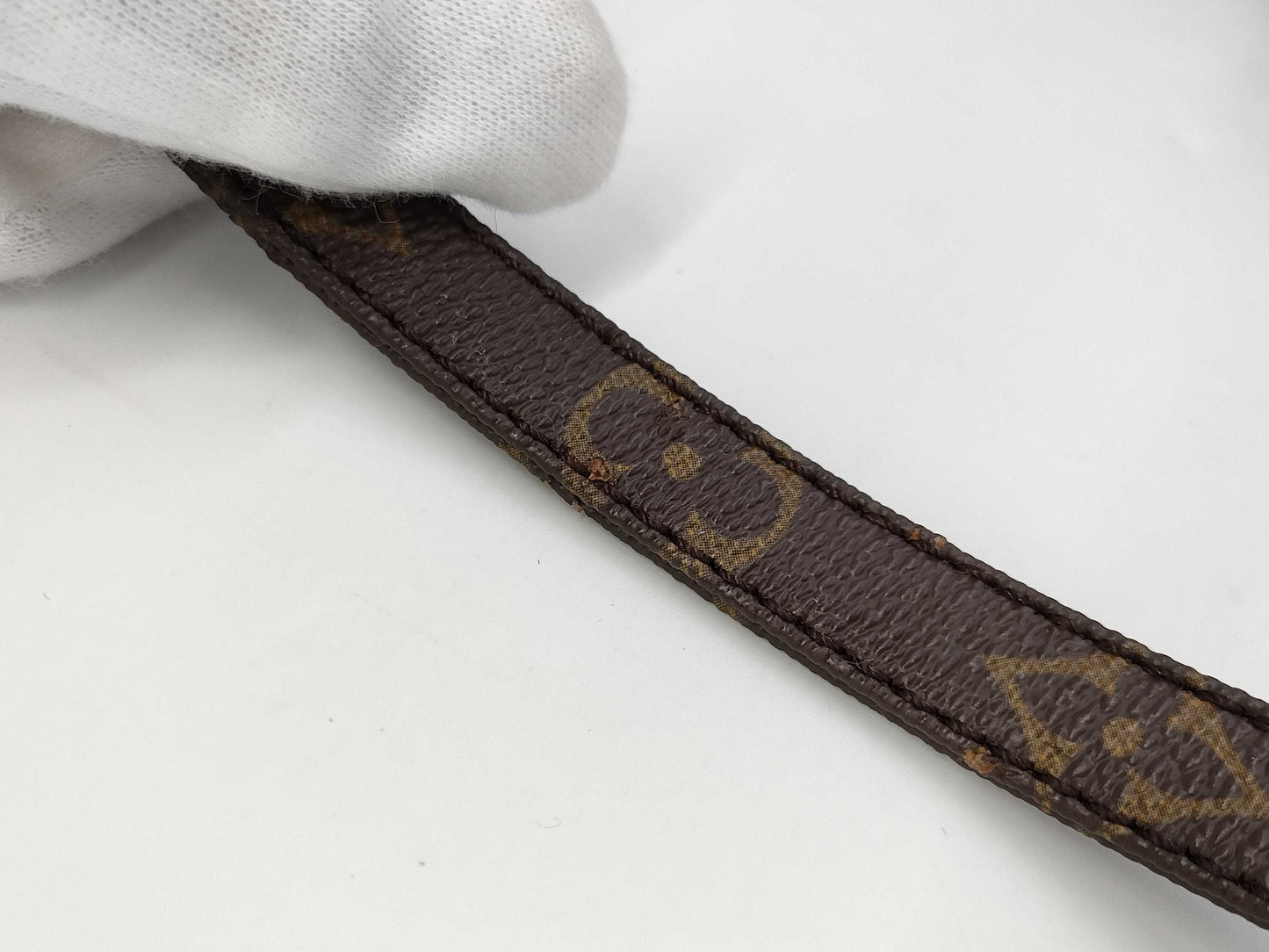 LOUIS VUITTON Monogram Mini Amazon 883TH Shoulder Bag
