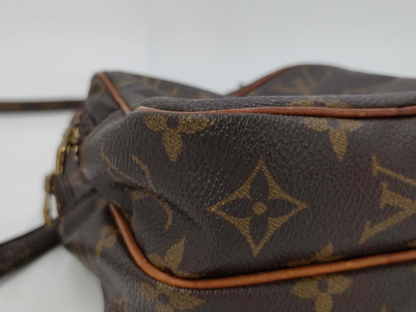 LOUIS VUITTON Monogram Mini Amazon 883TH Shoulder Bag