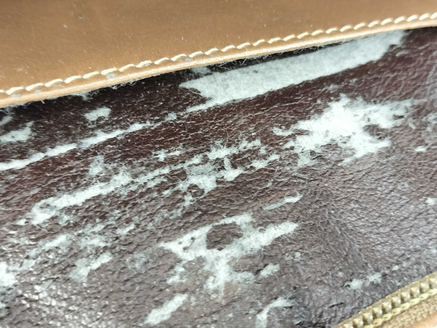 LOEWE Amazona Handbag Handbag