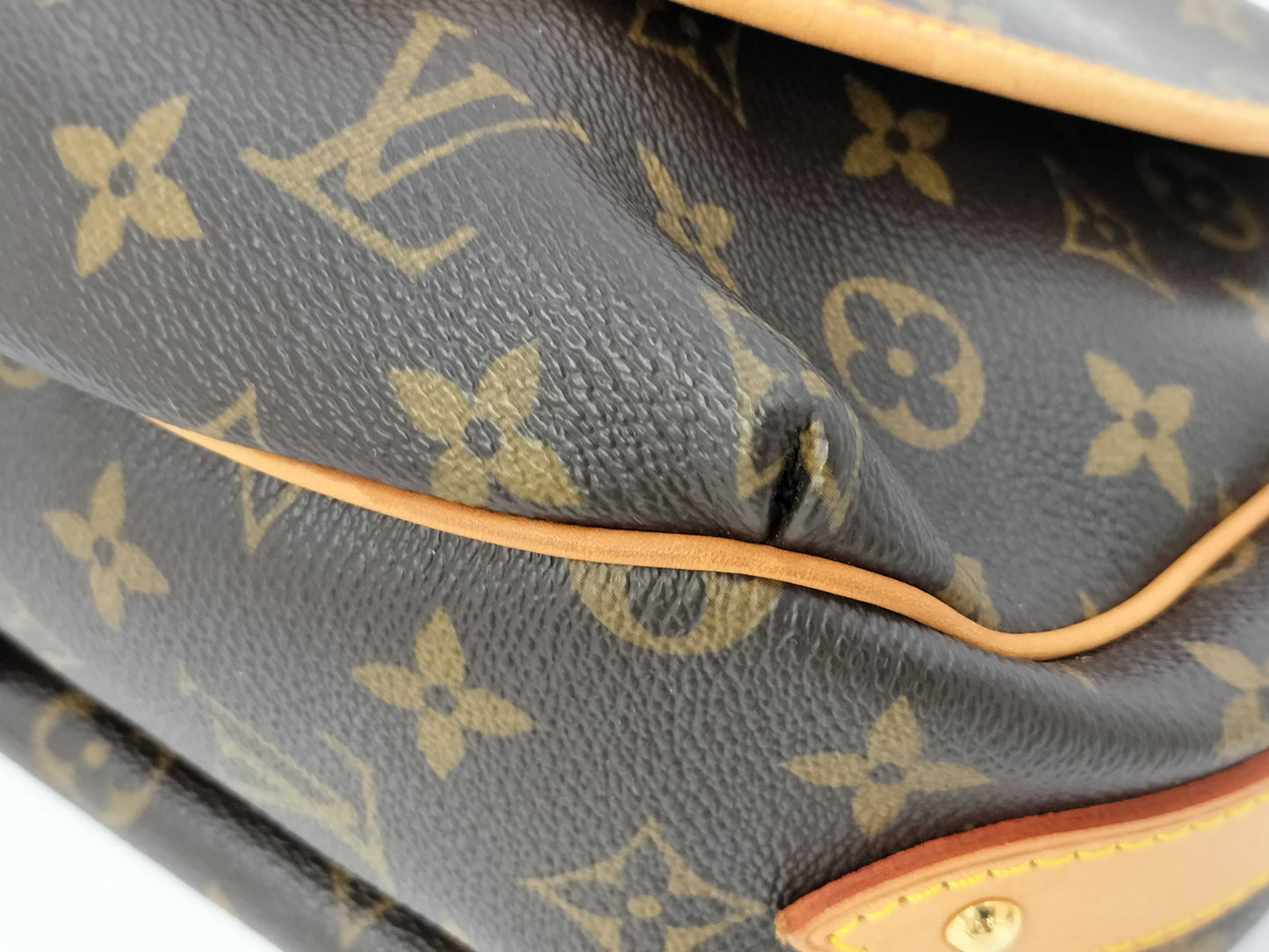 LOUIS VUITTON LV Monogram Shoulder Bag