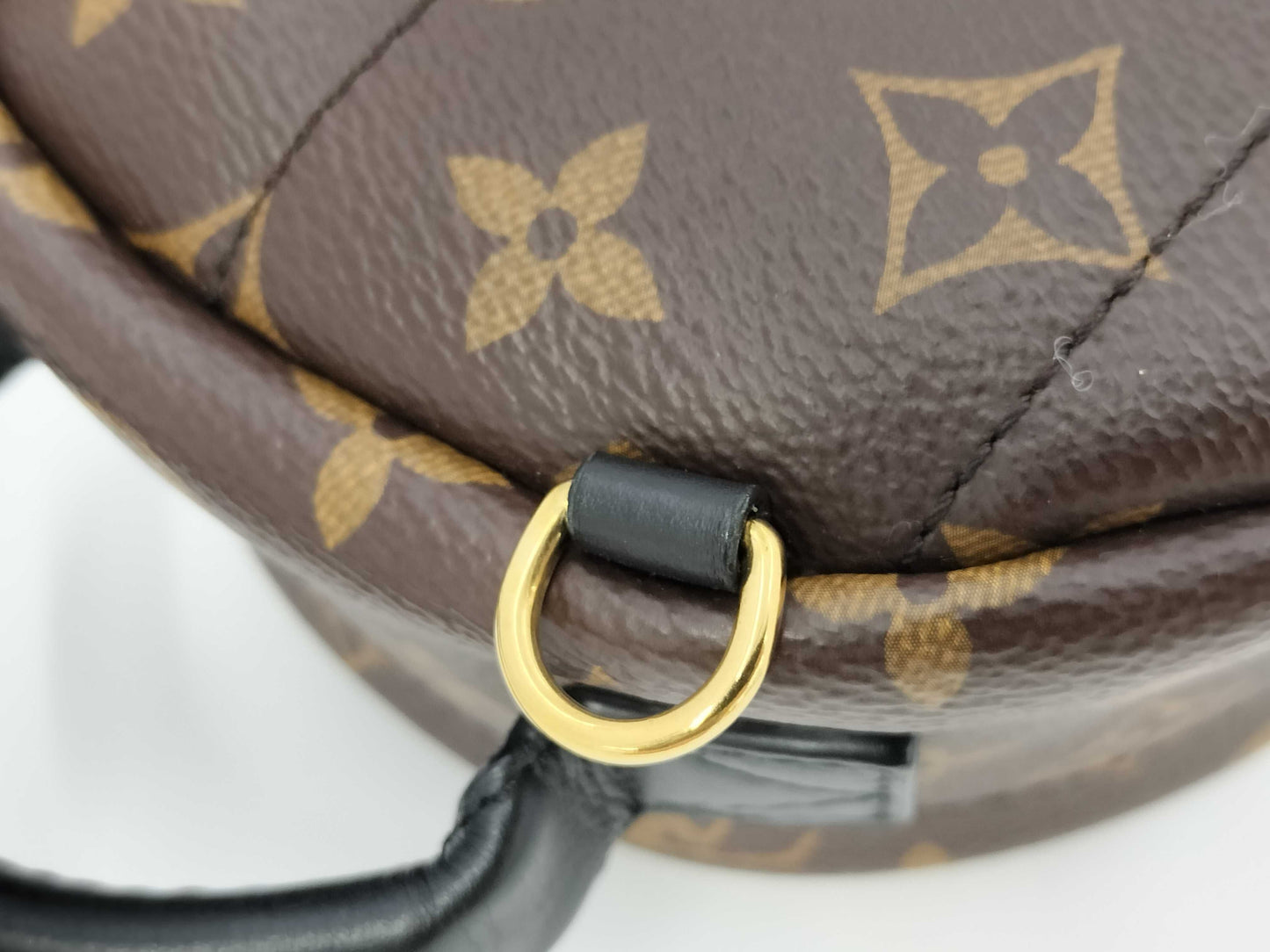 LOUIS VUITTON LV Bag pm Backpack