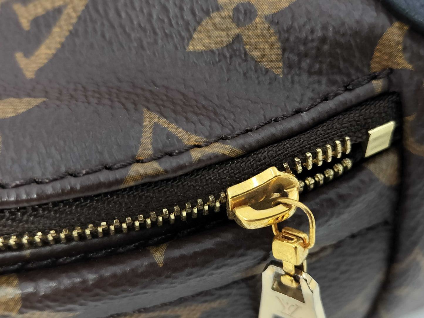 LOUIS VUITTON LV Bag pm Backpack