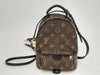 LOUIS VUITTON LV Bag pm Backpack