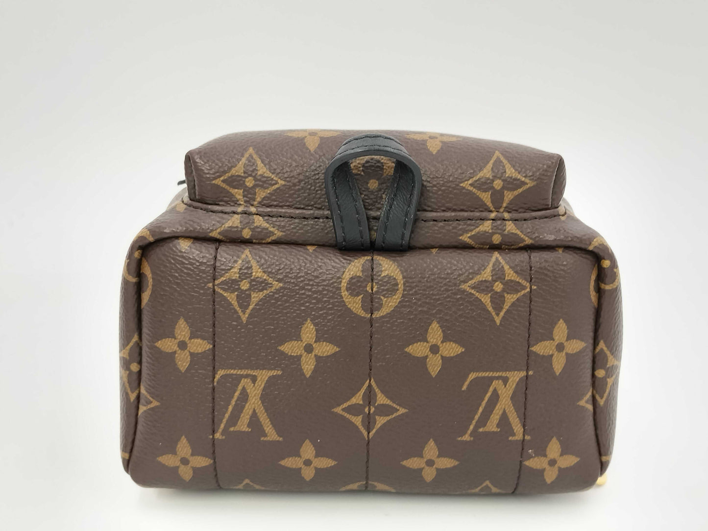 LOUIS VUITTON LV Bag pm Backpack