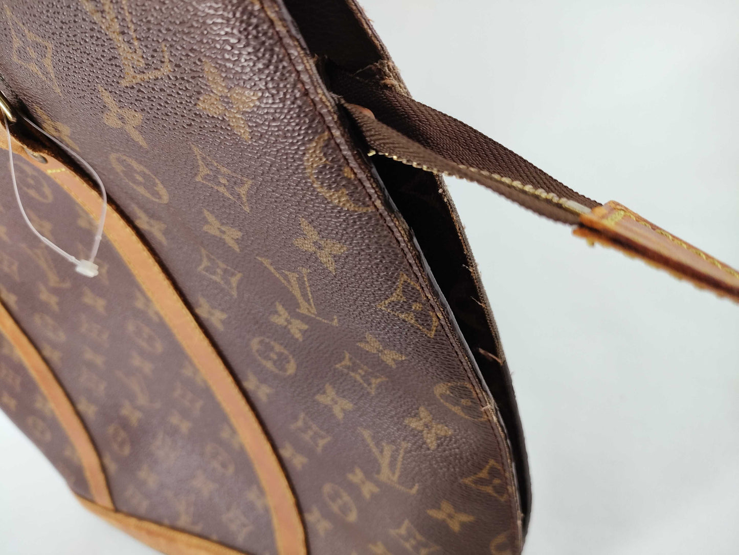 LOUIS VUITTON Monogram Louis Vuitton Tote Bag