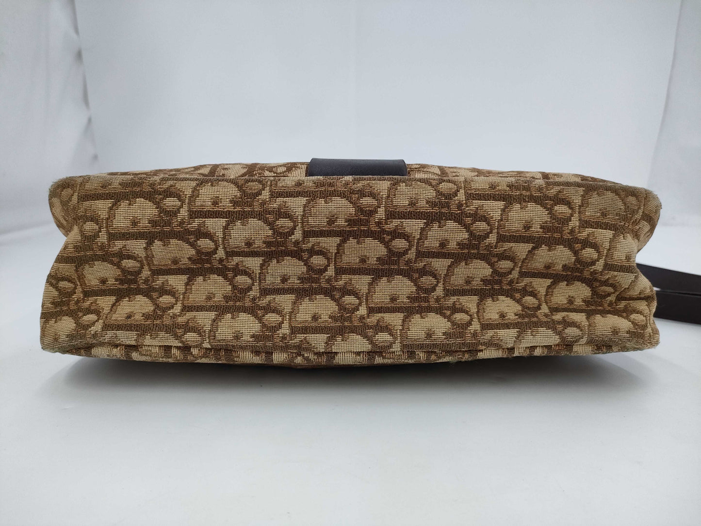 Dior Trotter Canvas Shoulder Bag
