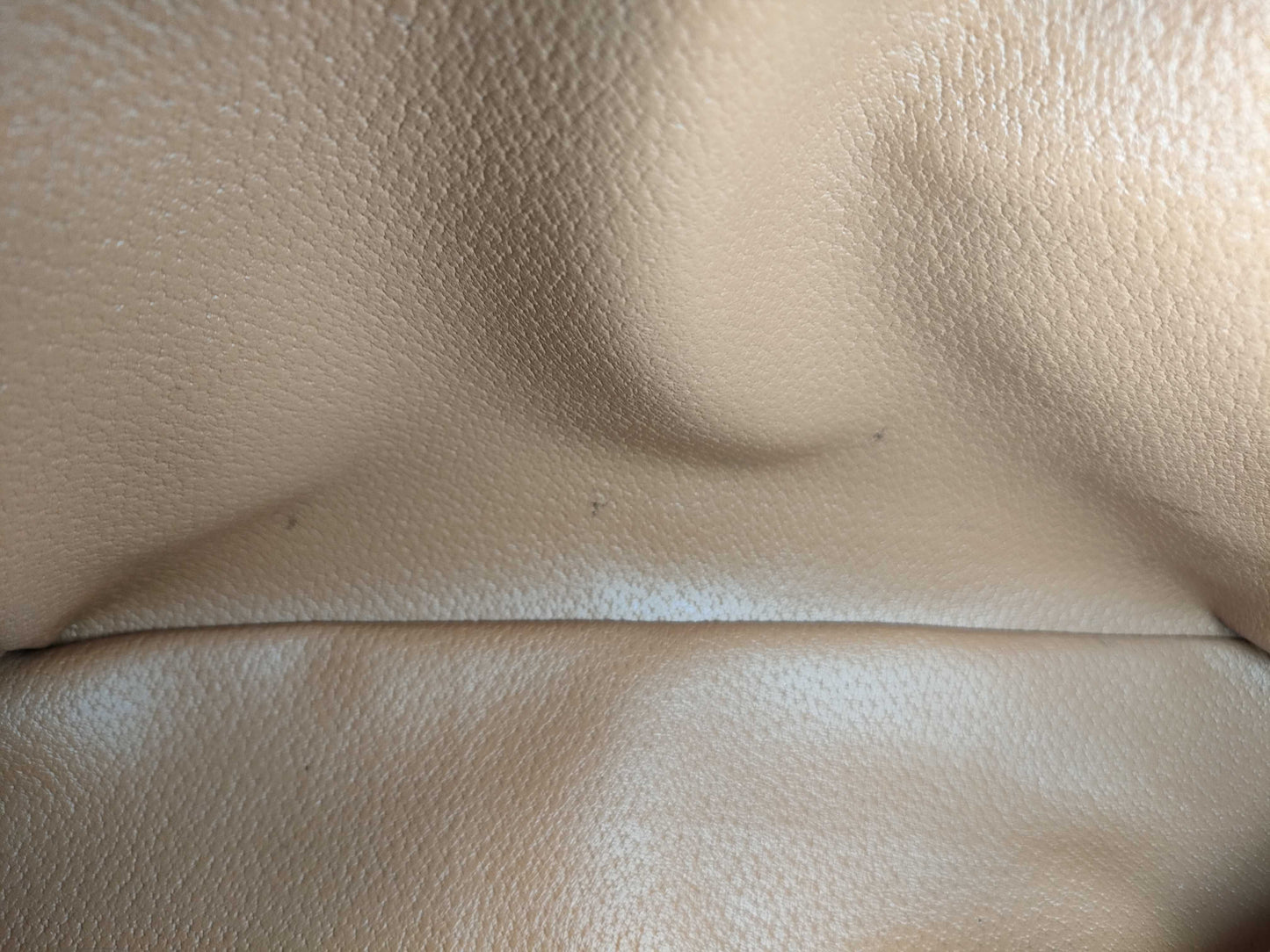 CELINE Macadam Handbag Handbag