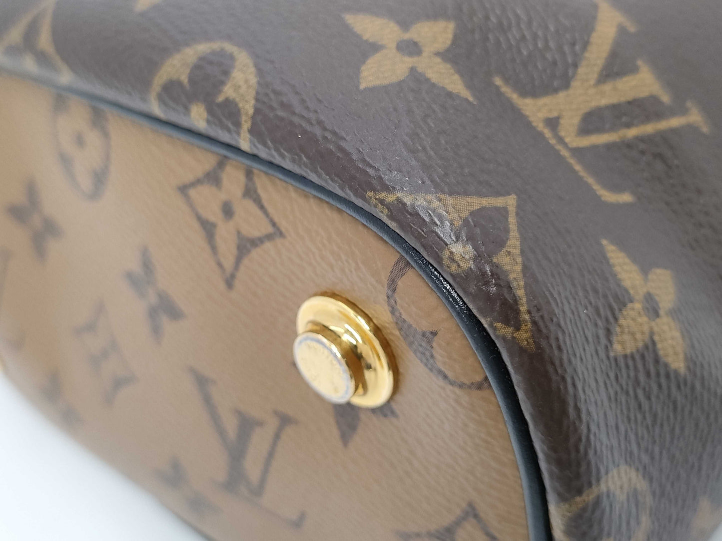 LOUIS VUITTON Monogram Reverse Vanity Bag
