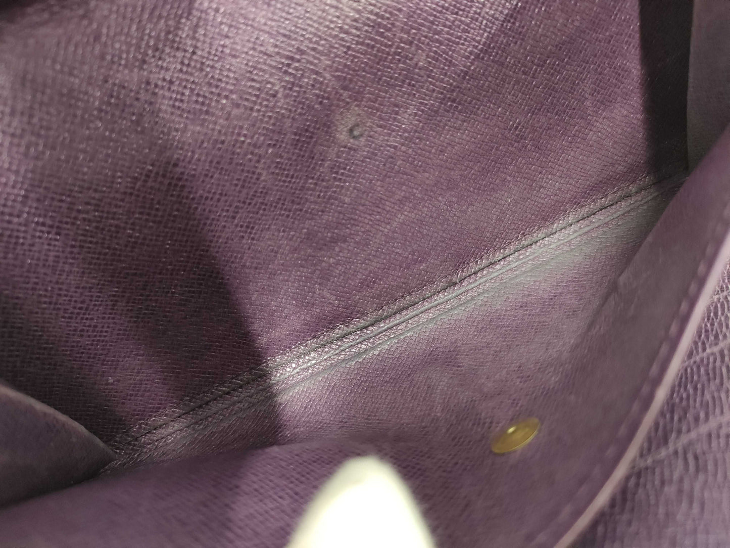 LOUIS VUITTON Epi wallet