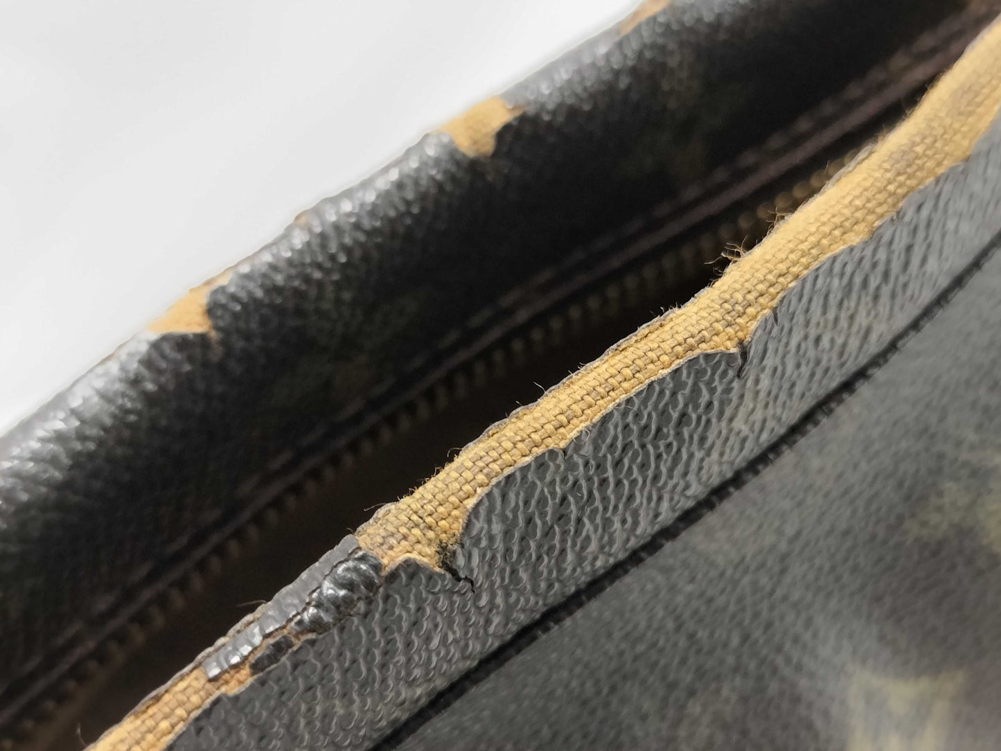 LOUIS VUITTON True Toilet Second Bag Second Bag
