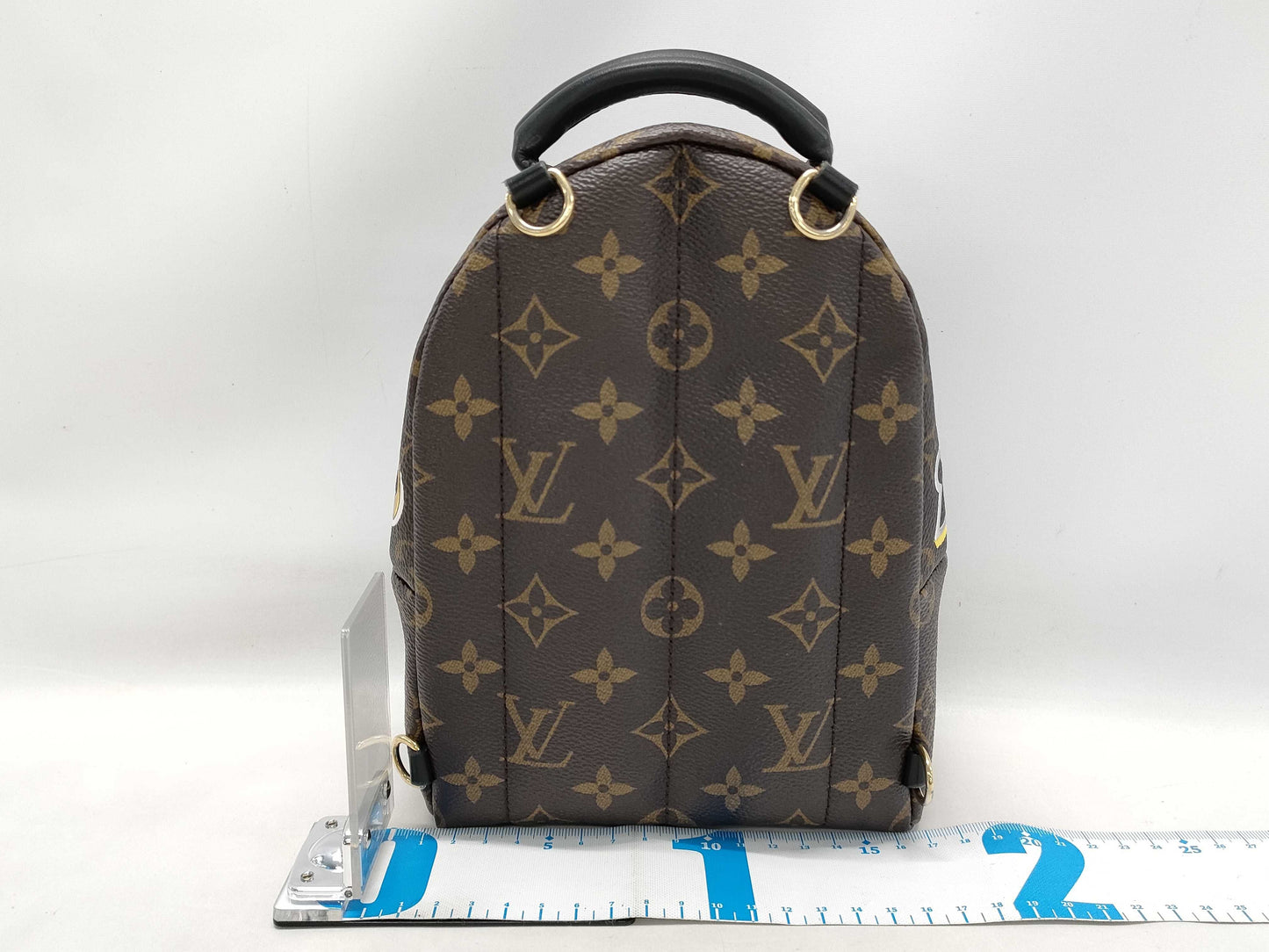 LOUIS VUITTON LV Palm Springs Mini Lovelock Backpack