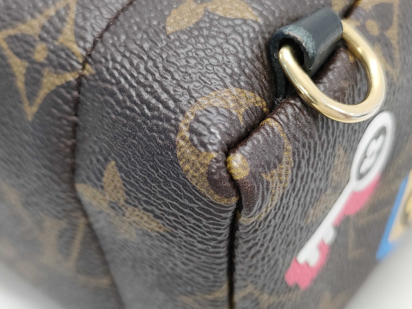 LOUIS VUITTON LV Palm Springs Mini Lovelock Backpack