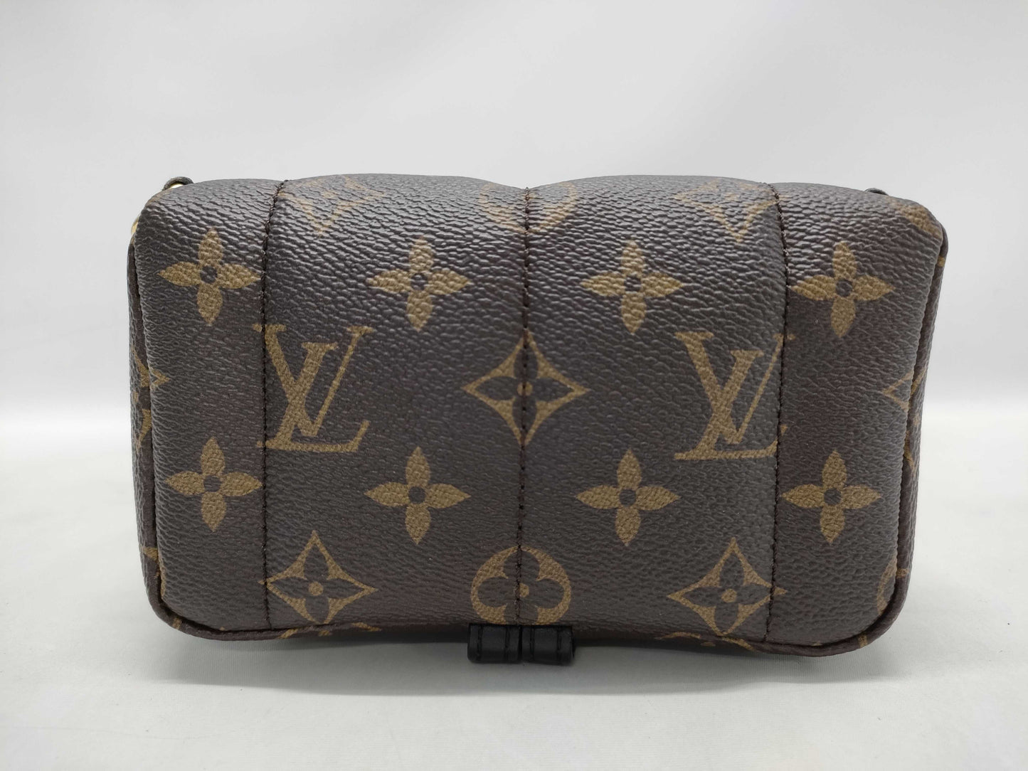 LOUIS VUITTON LV Palm Springs Mini Lovelock Backpack