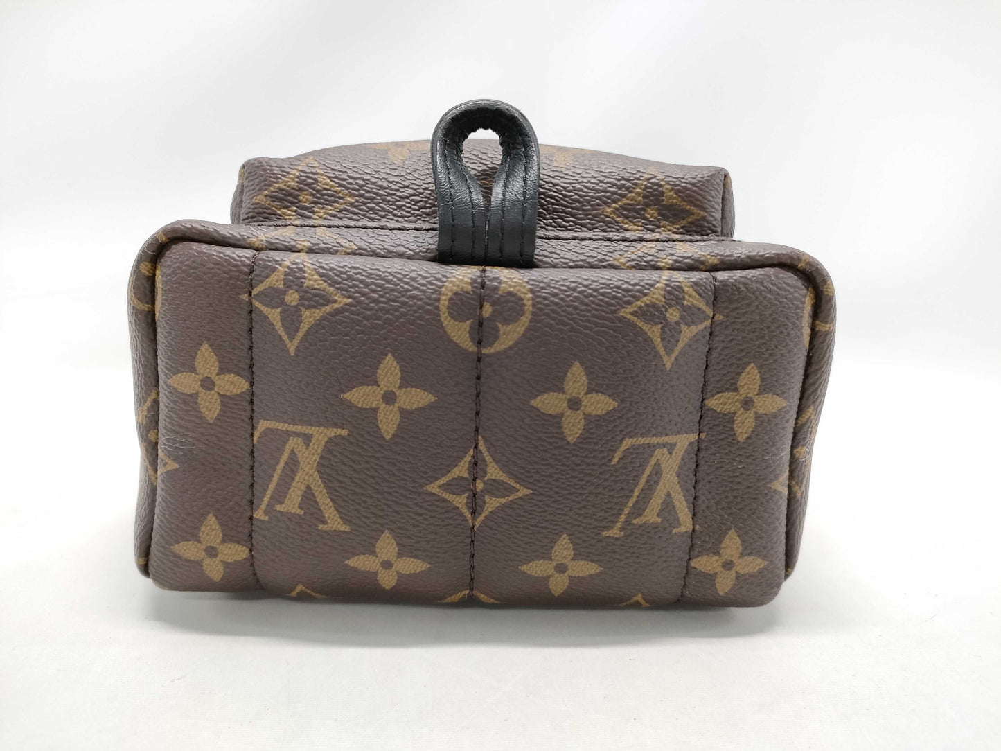 LOUIS VUITTON Monogram LV Palm Springs Mini Monogram Backpack