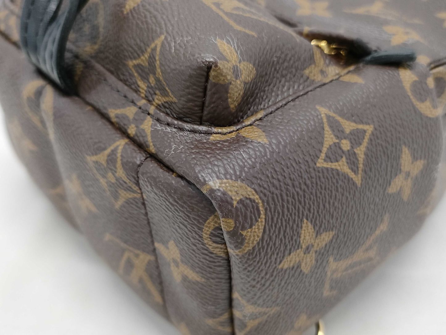 LOUIS VUITTON Monogram LV Palm Springs Mini Monogram Backpack
