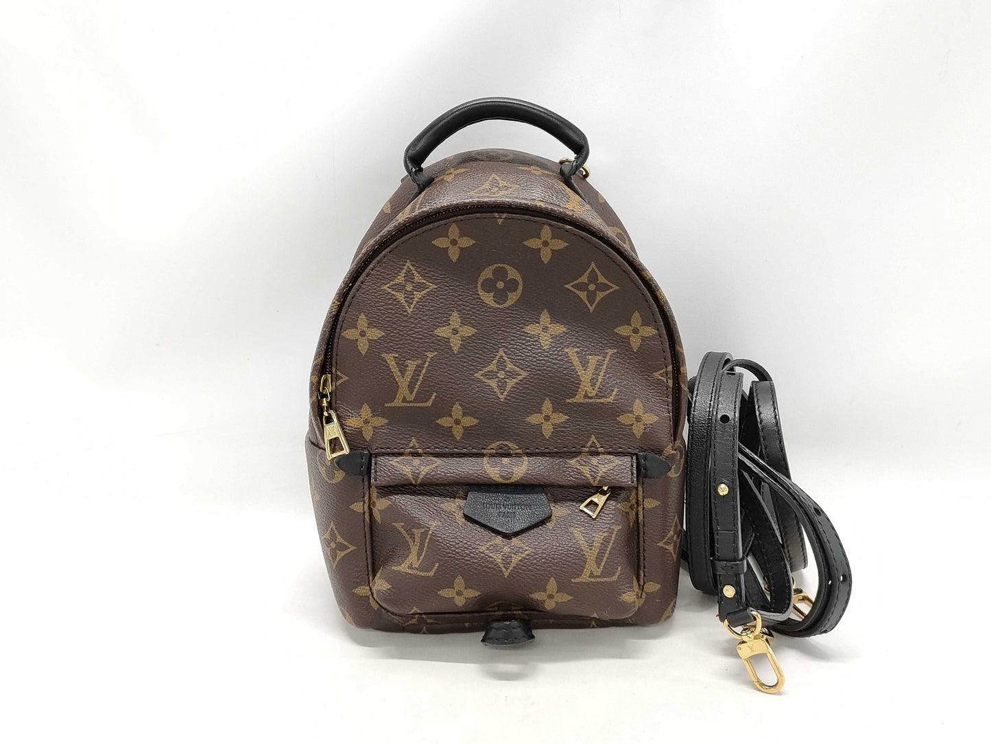 LOUIS VUITTON Monogram LV Palm Springs Mini Monogram Backpack