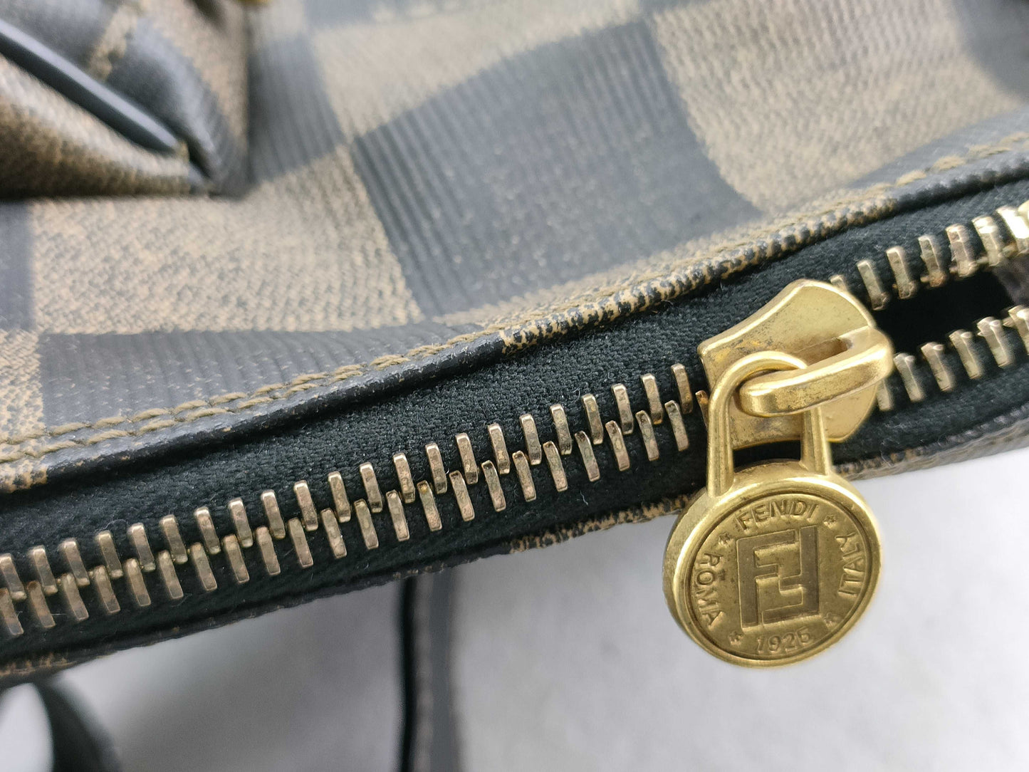 FENDI Pecan Pattern Fendi Backpack Pecan Backpack
