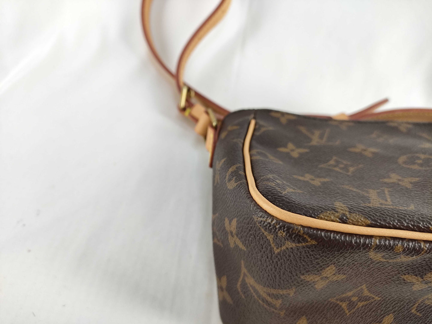 LOUIS VUITTON Monogram Louis Vuitton Monogram Viva Cite PM Shoulder Bag