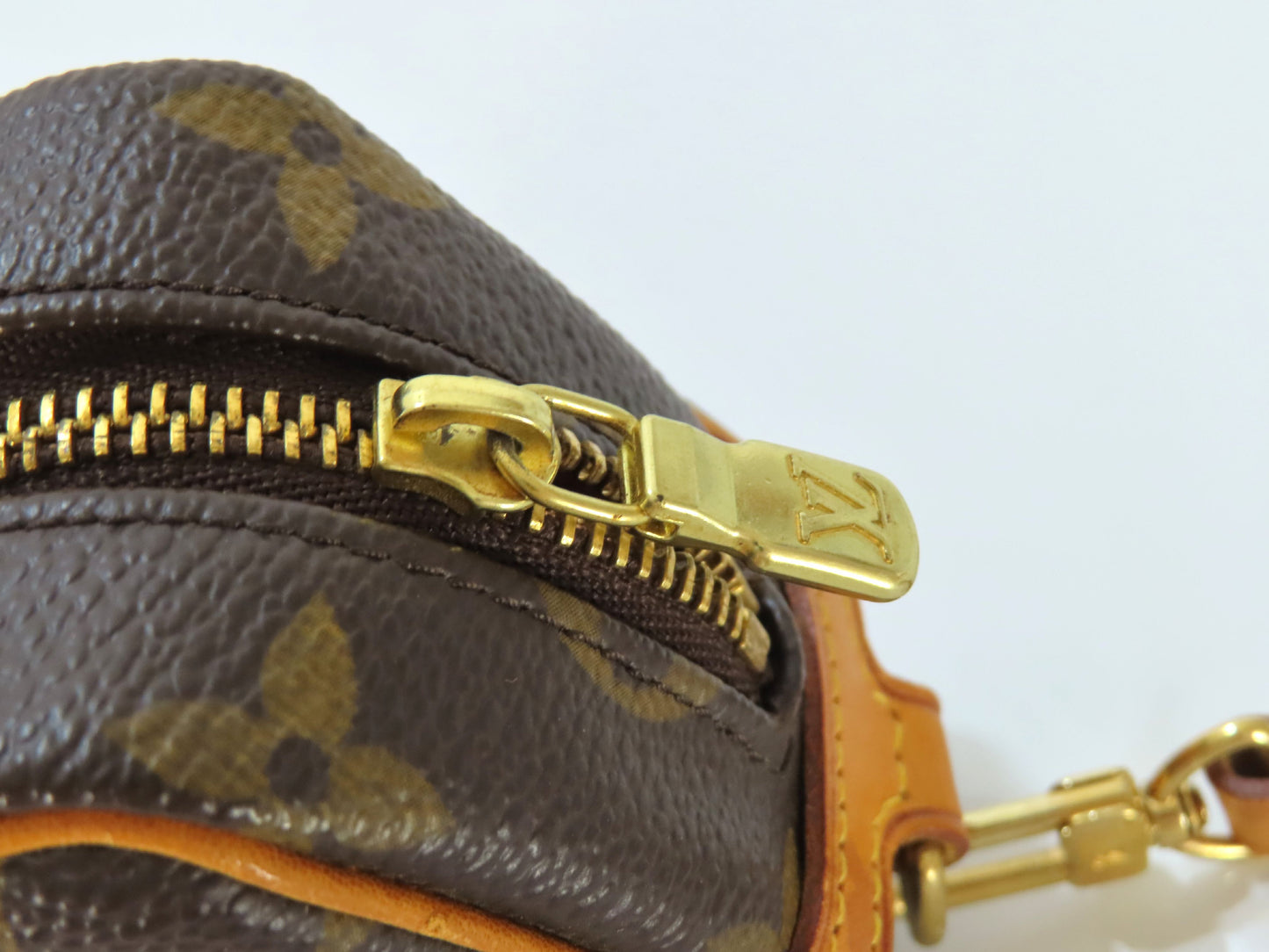 LOUIS VUITTON Monogram LV Monogram Truth Wapiti Pouch M58030