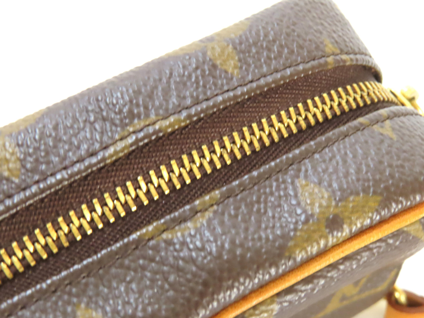 LOUIS VUITTON Monogram LV Monogram Truth Wapiti Pouch M58030