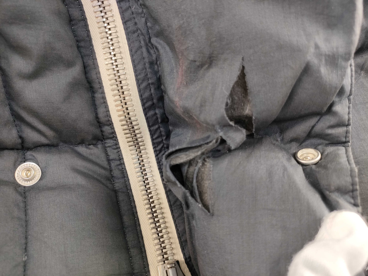MONCLER Down Jacket Jacket