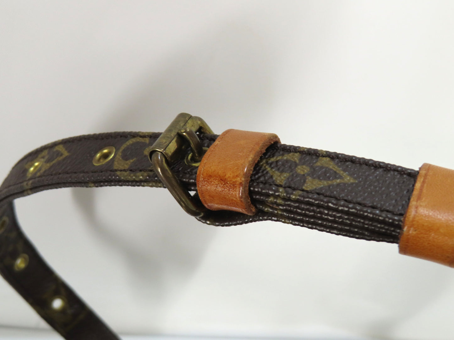 LOUIS VUITTON Monogram Amazon Engraved Shoulder Bag