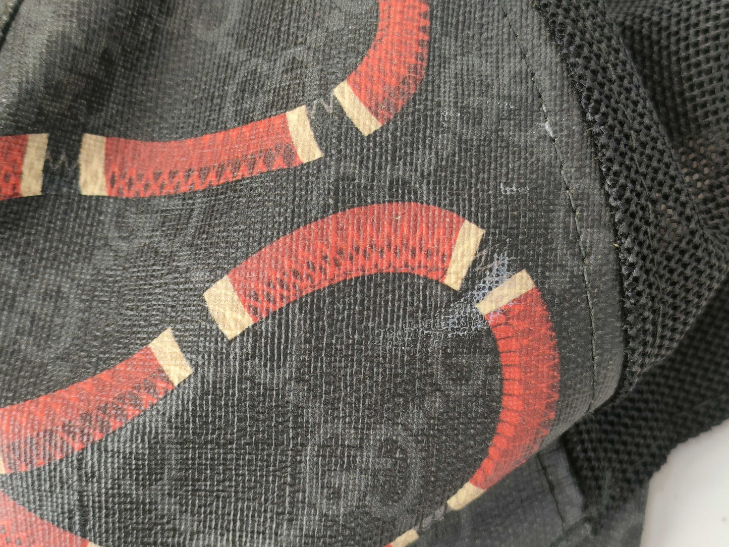 GUCCI Gucci Snake Cap Other Accessories
